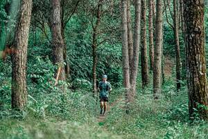 BIB: 
                            <button type="button" onclick="openModal(25235799)" class="btn btn-primary btn-sm float-right btn-popup" data-toggle="modal" data-target=".modal-high-quality">
                        <i class="fas fa-shopping-cart"></i> Add to Cart
                    </button>
                                            <button type="button" onclick="isThisMe(25235799, true)" class="btn btn-success btn-sm float-right btn-popup btn-isme hidden" data-toggle="tooltip" data-placement="bottom" title="นี่คือรูปของคุณใช่ไหม คลิกที่นี่เพื่อเอาเข้าอัลบั้ม">
                        <i class="fas fa-plus"></i> Add to album
                    </button>
                    <button type="button" onclick="isThisMe(25235799, false)" class="btn btn-warning btn-sm float-right btn-popup btn-isnotme hidden">
                        <i class="fas fa-ban"></i> Remove from album
                    </button>